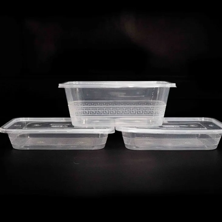 Disposable Plastic Food Boxes - The Choice of Chefs for Convenience (7)