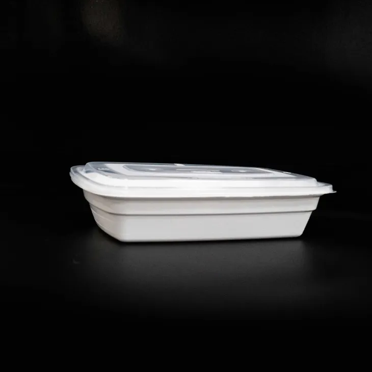 Stackable Disposable Lunch Boxes - Space-Saving Design (1)