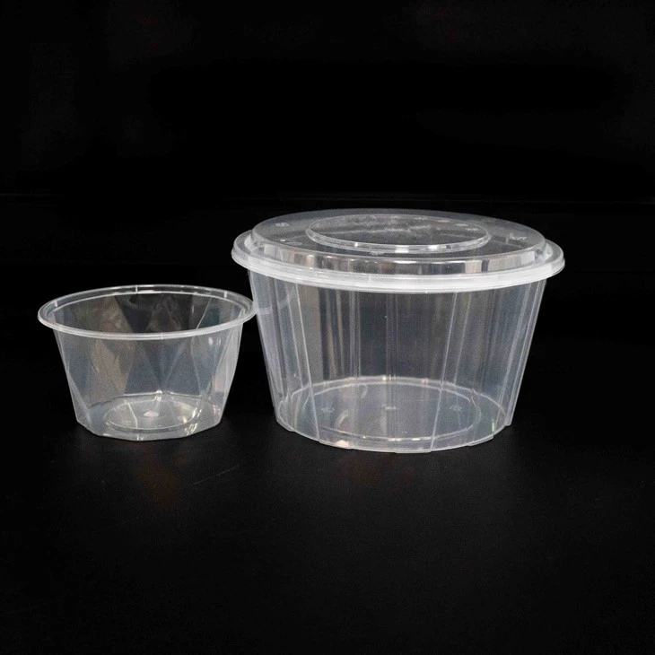 Eco-Friendly Plastic Bowls - Ideal for Serving Dips (3)