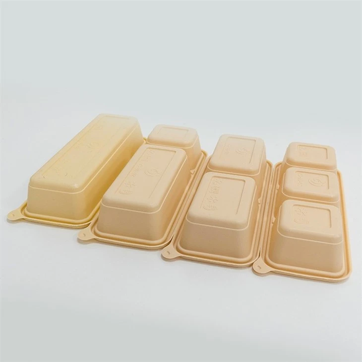 Food-Safe Biodegradable Lunch Boxes - Ensure Hygiene (1)